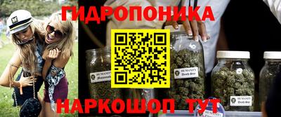 каннабис Будённовск