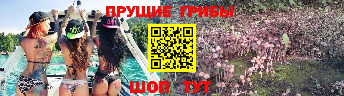Галлюциногенные грибы Cubensis Снежинск