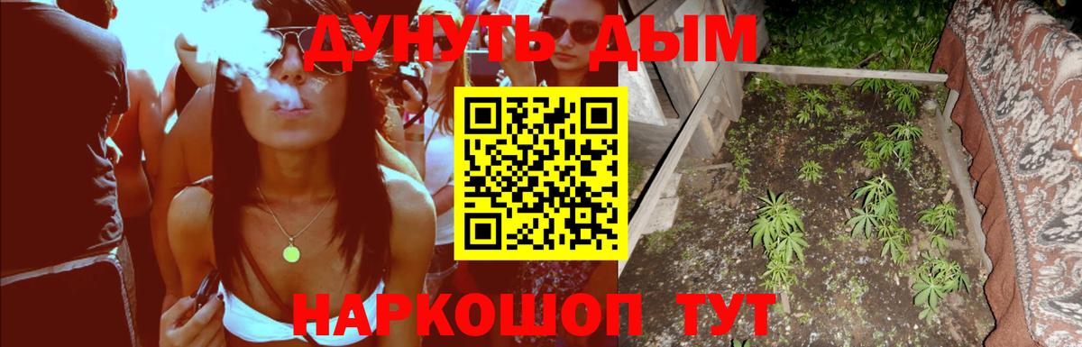 Каннабис SATIVA & INDICA  Шишки марихуана SATIVA & INDICA  Вход с VPN  Снежинск  Шишки марихуана SATIVA & INDICA 